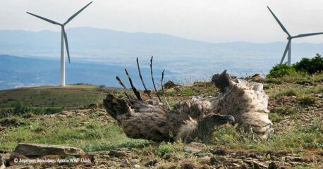 Περιοχές του δικτύου Natura 2000 και σπάνια βιοποικιλότητα