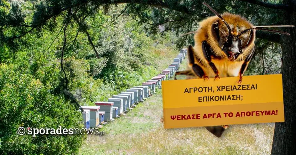 Μελισσοκιμία | Επικονίαση | Ψεκασμός