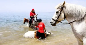 To έθιμο του Αγιασμού των αλόγων στα Καλά Νερά