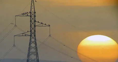 Πρωτοβουλία για την προστασία του Σπιζαετού στη Νότια Εύβοια