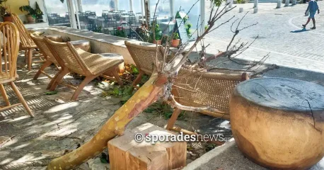 Έσπασε από τον δυνατό αέρα μεγάλο κλαδί του πλάτανου στο παλιό λιμάνι Σκοπέλου